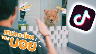 เกมหมากระโดด เจ้าบอยจะสามารถกระโดดได้สูงสุดกี่ระดับ! || เพชร กะ บอย [Dog Jump Challenge]