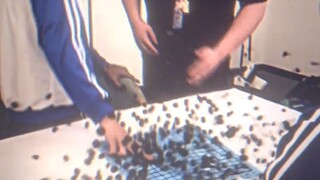 Bermain Go Lima Langkah hanyalah kebohonganmu