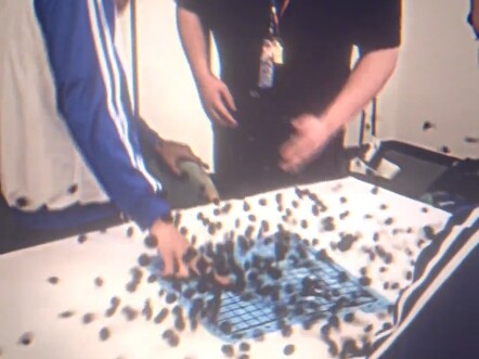 Bermain Go Lima Langkah hanyalah kebohonganmu