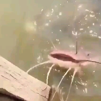 Cẩn thận chút đi… Nhắc nhở mọi người: Cứ 13 giây lại xuất hiện một Tam!