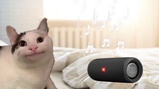 ฉันไม่อาจสูญเสียดนตรีไปได้ เหมือนที่ตะวันตกไม่อาจสูญเสียเยรูซาเล็มไปได้