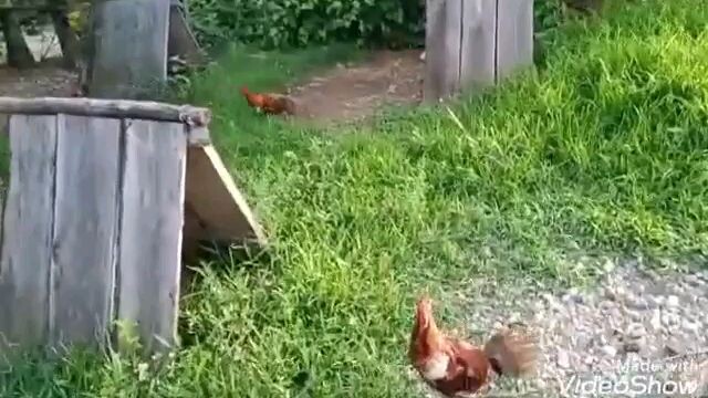 Vacation (Province life)