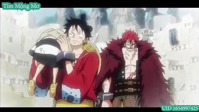 One Piece Tập 1011 Vietsub  Đảo Hải Tặc Vua Hải Tặc  HDVietsub  #Anime #Schooltime