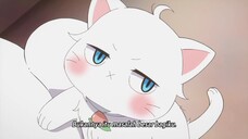 "Kucing Kecil yang Tsundere sangatlah imut dan Menggemaskan" ๐ฅฐ๐ฅฐ๐ต๐๐๐คญ๐๐๐ค