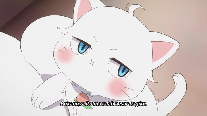 "Kucing Kecil yang Tsundere sangatlah imut dan Menggemaskan" 🥰🥰😵😊😘🤭😖🙈🤙