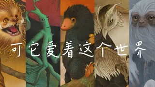 Động vật kỳ diệu｜“Chúng đều là những yêu quái có dung mạo xấu xí, dịu dàng cất giữ muôn vẻ nhân tình