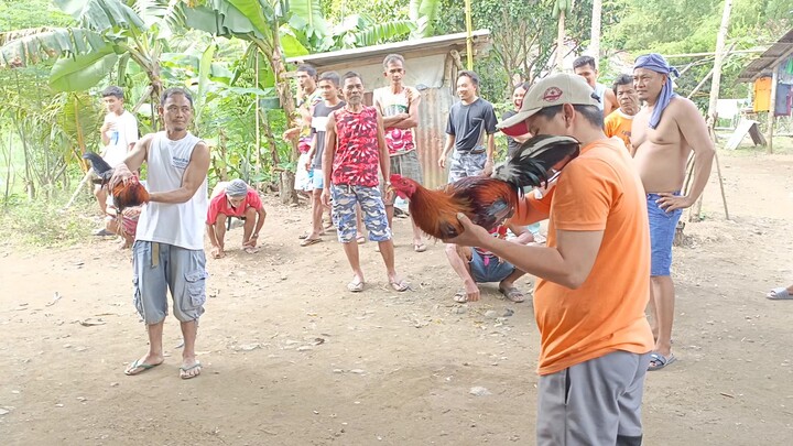 eto ang 2nd video 2x winner di na binadbaran ng Tari # 8 mos super  sweater