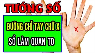 Xem Tướng Đường Chỉ Tay Chữ X, Số Mệnh Làm Quan To