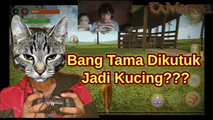 Game Cat Simulator Android