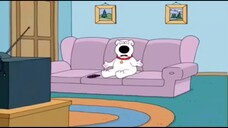 Family Guy - What I can't be tired at 1 in the morning?