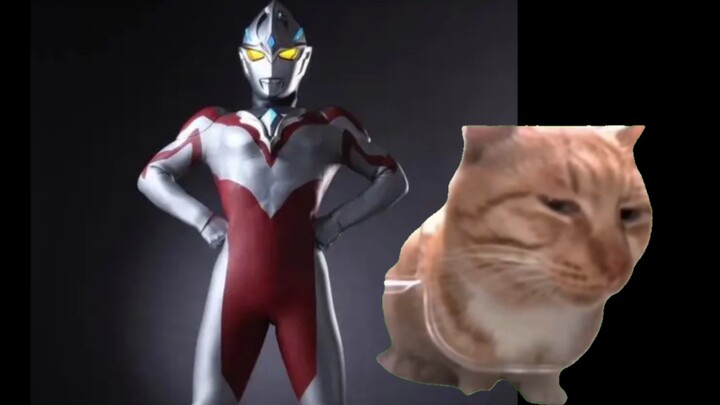 【Cat meme】Evaluation of Ultraman Aker's appearance these days!!