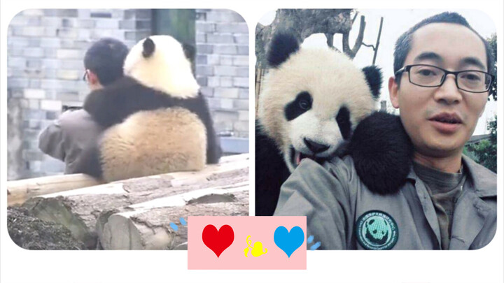 Panda Imut: Pose Selfie