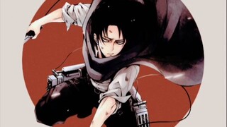 [Levi·Ackerman]The Phoenix-Ackerman warm-blood montage