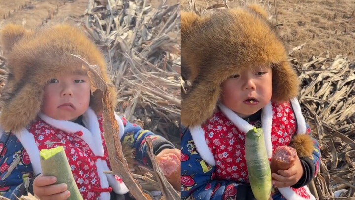 A country kid hiding in a haystack to munch on ham — after being caught by a parent, the kid’s expre