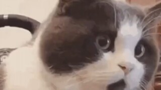 你知道大头儿子的原名吗