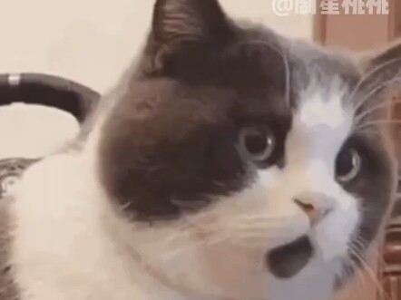 你知道大头儿子的原名吗