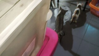 Hotwheels HD • Breaking News • [ 02062025_080000 Mts ]