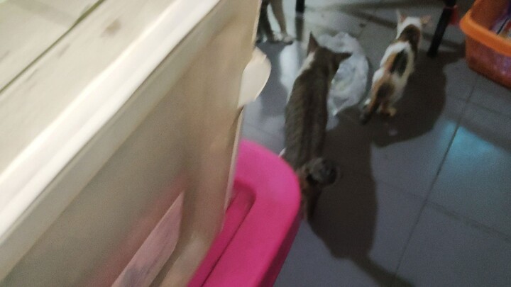 Hotwheels HD • Breaking News • [ 02062025_080000 Mts ]