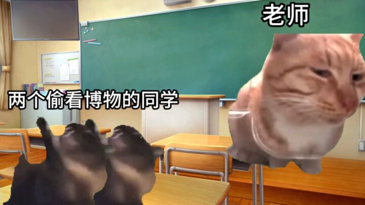 【Meme mèo】Câu chuyện về một cuốn tạp chí tự nhiên từng khiến cả lớp kêu thét khi còn học cấp ba