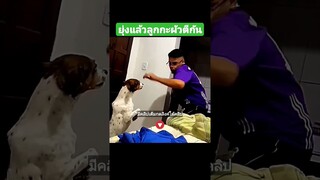ยุ่งแล้วลูกกะผัวตีกัน