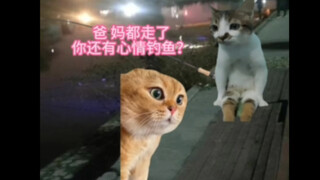 I don’t envy couples deeply in love—I only envy elderly folks holding hands and strolling together i