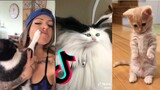 Cats being ... CATS 😹~ Tiktok Compilation #4