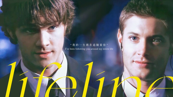 “แต่ฉันรักเขา ดั่งน้องชายที่รักพี่ชาย ดั่งวินเชสเตอร์คนหนึ่งที่รักอีกคนหนึ่ง” 【SPN｜sd】