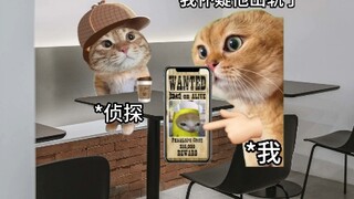 男人假装出差，居然是为了…