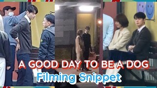 Cha Eun Woo and Park Gyu Young Started Filming "A Good Day to be a Dog"