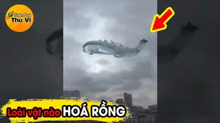 🔥 7 Loài Vật Chỉ Cần Làm Điều Này Có Thể Hoá Thành Rồng Mà Bạn Chưa Từng Biết | Khám Phá Thú Vị