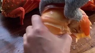 Lobster meat bigger than your palm!