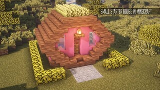 Small starter house in Minecraft