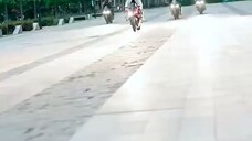 short drama
