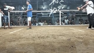 Bulik magbabalik(Dec. 27,2023)