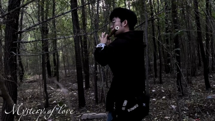 【Flute】Mystery of love please call me by your name bamboo flute version