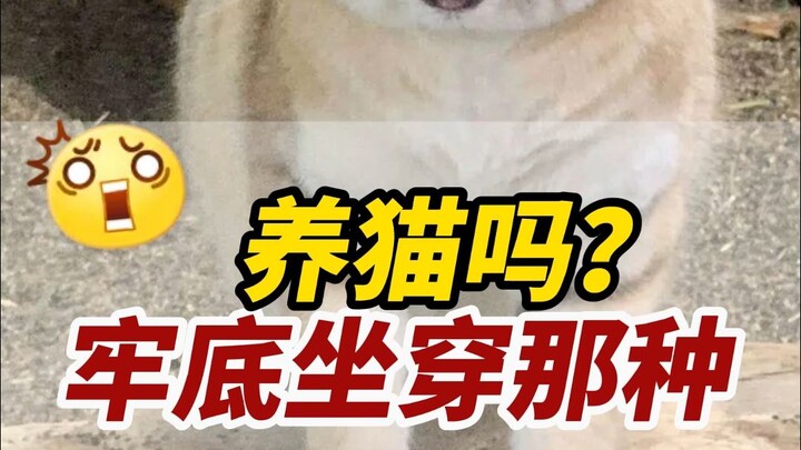 这5种“牢底坐穿兽”，再可爱也不能养！