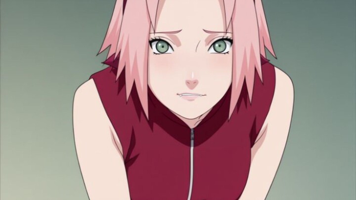 GILA BRUTAL BANGET MAINNYA SAKURA