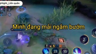 Mình đang mải ngắm bướm #LiênQuânMobile