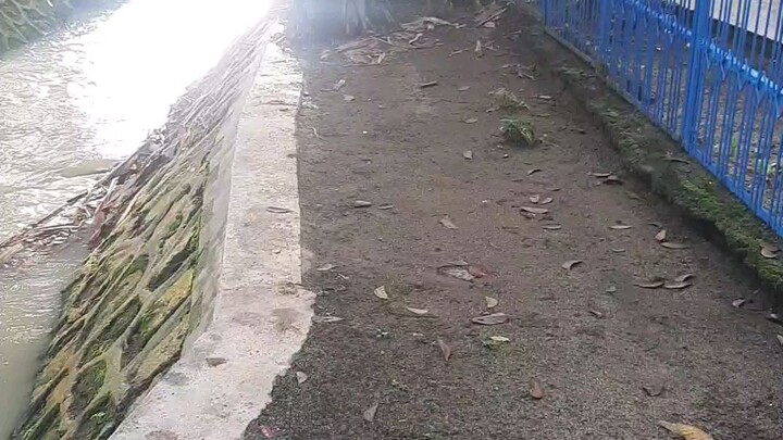 suasana kampung #edisimudik#nataru