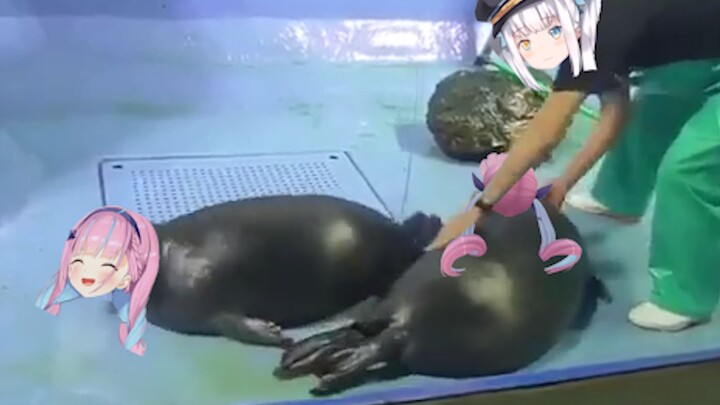Early images of mea taming Aqua
