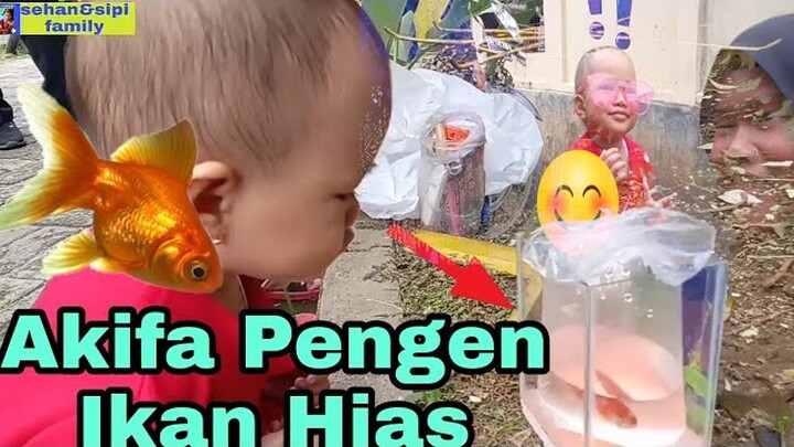 AKIFA MINTA DI BELIIN IKAN HIAS