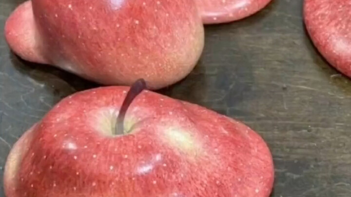 Who on earth came up with this? It's amazing!