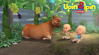 Beri Makan Sappy | FULL Episode Baru Upin & Ipin Musim 16 | Upin Ipin Terbaru 2022