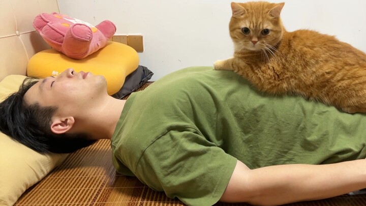 Song Yan! Siapa yang mengajarimu memelihara kucing seperti ini?
