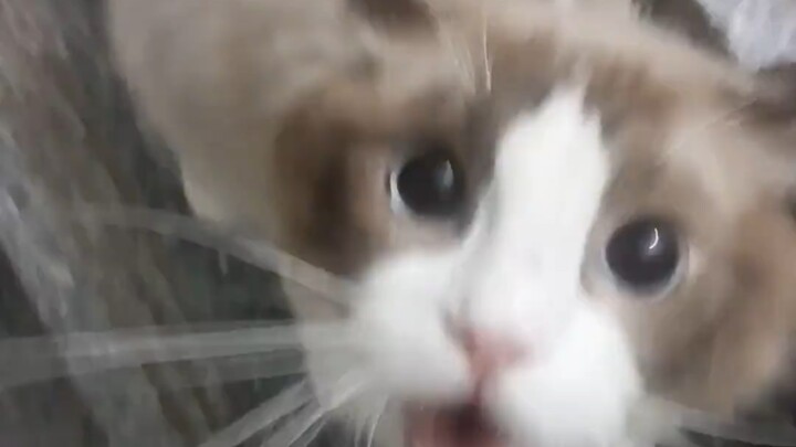 Grumbling and complaining