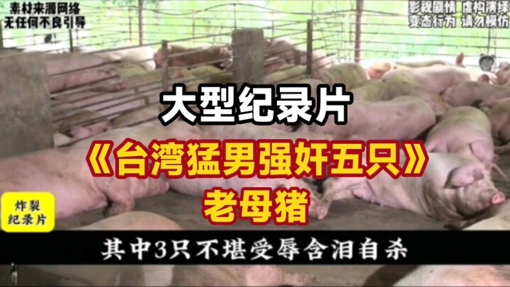 Major Documentary: “Taiwanese Hunk Rapes Five Old Sows”