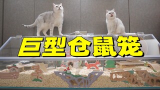 花500块给土豪仓鼠的水晶宫布置软装，网友：家具比我用的都多！