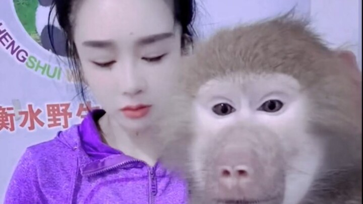 火眼金睛失灵了