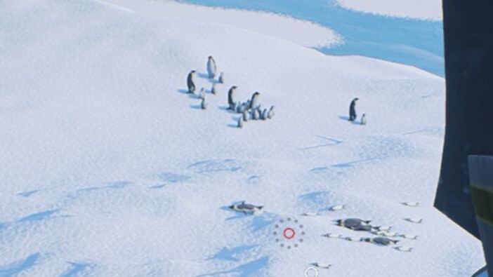 🐧:以防你没听过2042中🐧的叫声......