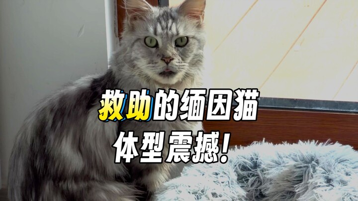 I knew it was big, but I didn’t expect it to be this huge!